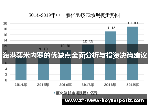 海港买米内罗的优缺点全面分析与投资决策建议 海港买米内罗的优缺点全面分析与投资决策建议