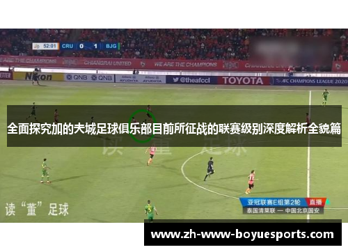 全面探究加的夫城足球俱乐部目前所征战的联赛级别深度解析全貌篇