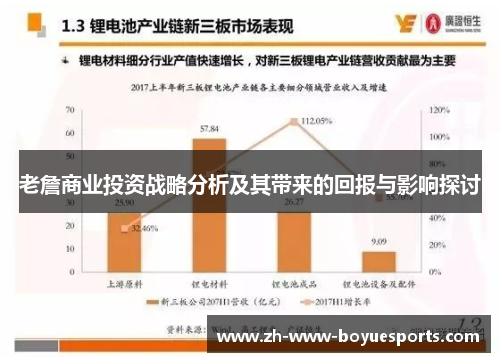 老詹商业投资战略分析及其带来的回报与影响探讨